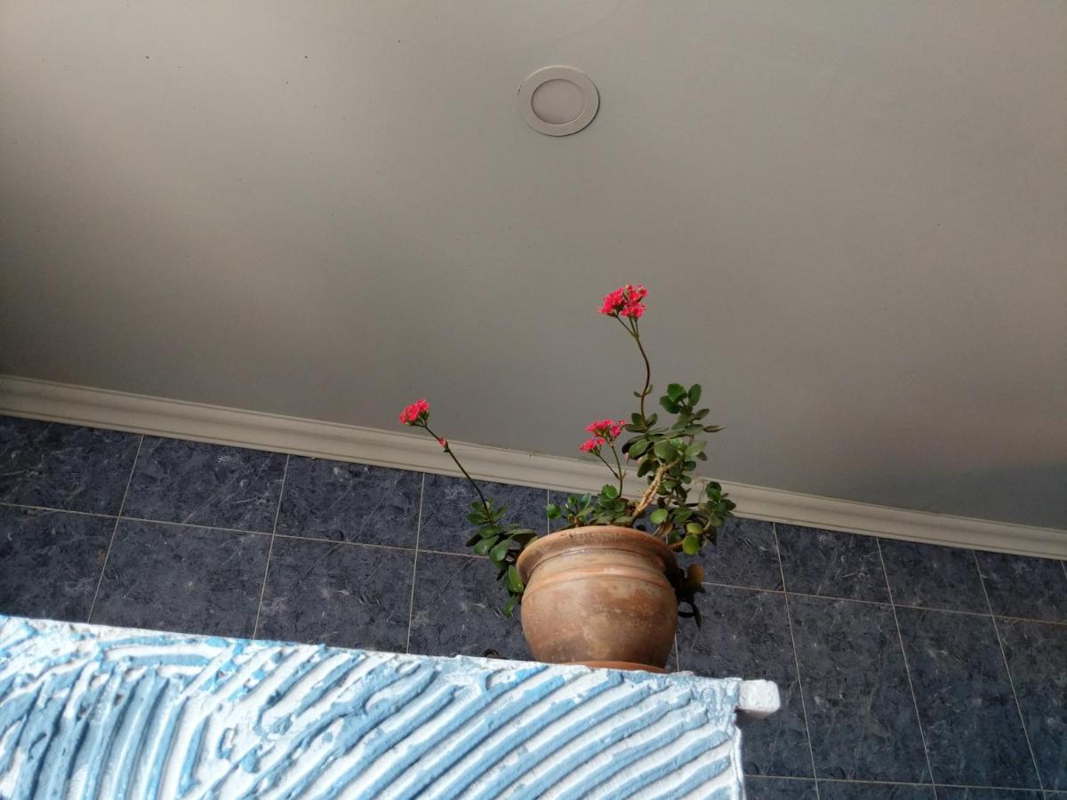 Diwan Hostel Τυφλίδα Εξωτερικό φωτογραφία
